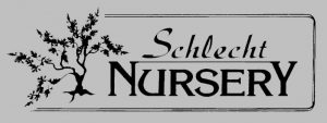 schlecht-logo-gray